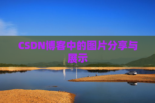 CSDN博客中的图片分享与展示